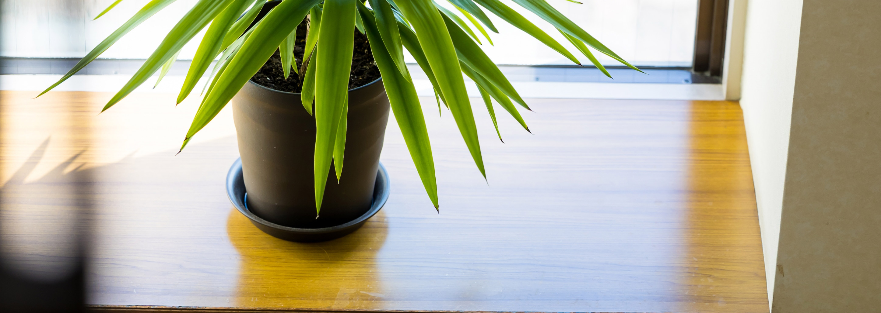 Recruit 新卒採用フォーム