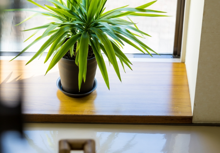 Recruit 新卒採用フォーム